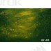 Tło fotograficzne Arbuzy 3606